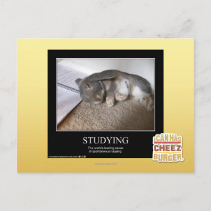 Studium Postkarte