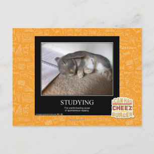 Studium Postkarte
