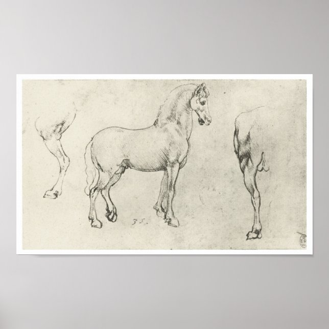 Study of a Horse and It's Hindquarters, Da Vinci Poster (Vorne)