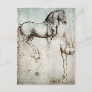 Study of horses - Leonardo da Vinci Postkarte