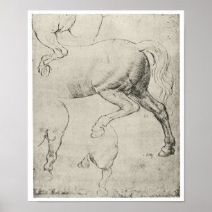 Study of the Hindquarters of a Horse, Da Vinci Poster