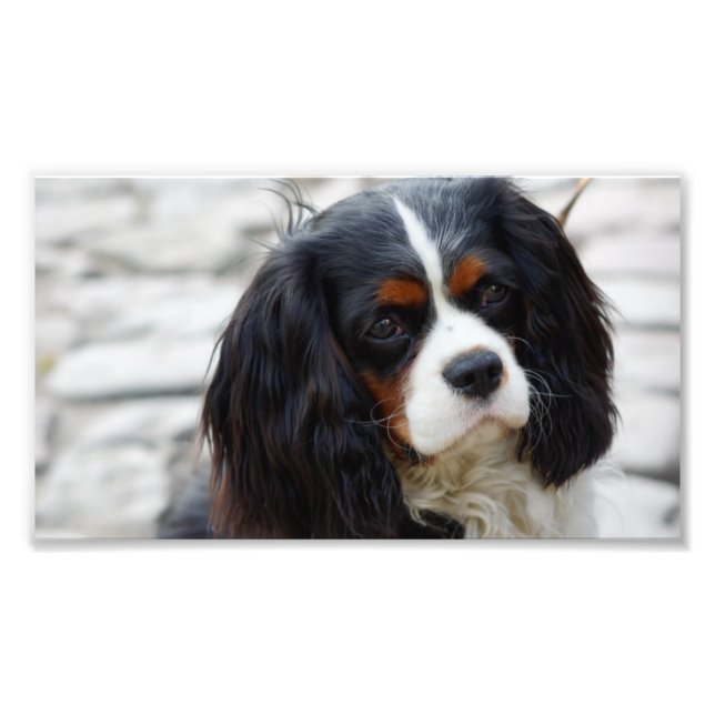 Stufe 2 fotodruck (Vorne)