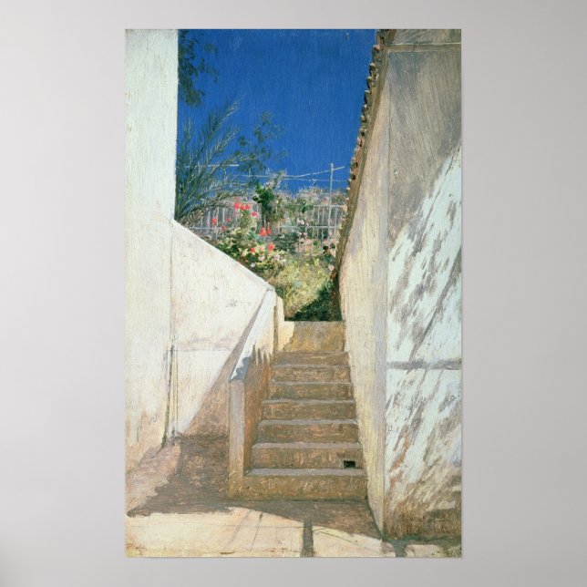 Stufen in einem Garten, Algerien, 1883 Poster (Vorne)