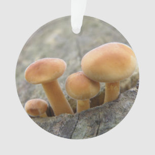 Stuhlhocker auf einem Baumstamm-Acrylschmuck Ornament