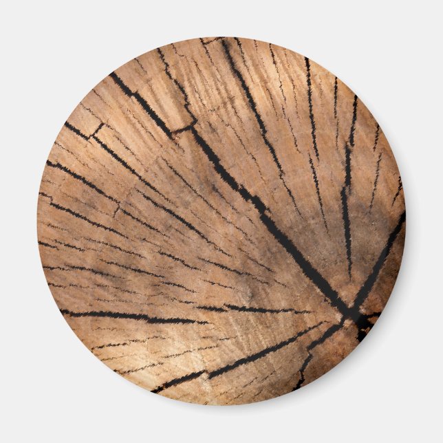 STUMP MAGNET (Vorne)