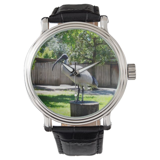 **"Stump Perch: Der Ruheplatz des Hühners Bin"** Armbanduhr (Vorderseite)