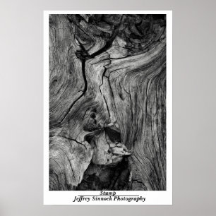 Stump Poster