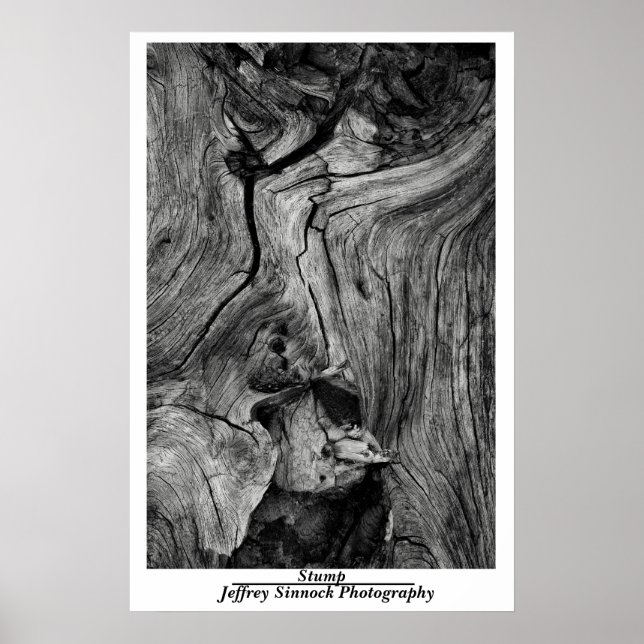 Stump Poster (Vorne)