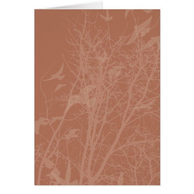 Stumpfvögel (Vorne)