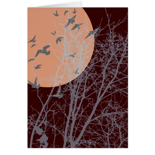 Stumpfvögel (Vorne)