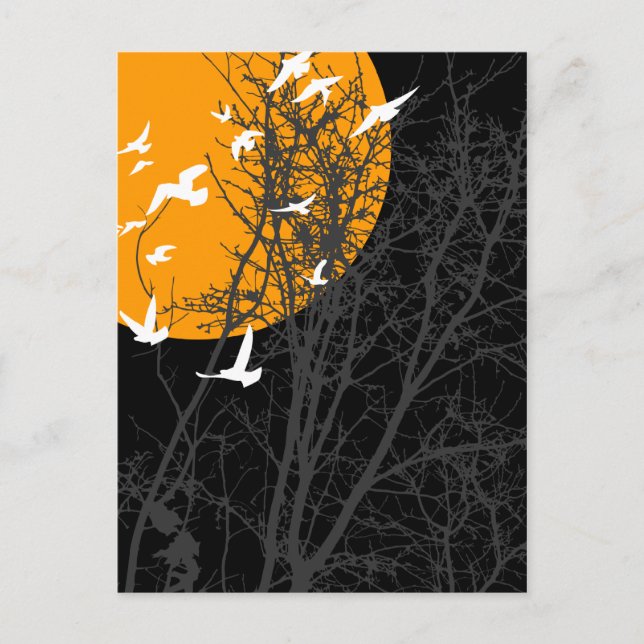 Stumpfvögel Postkarte (Vorderseite)