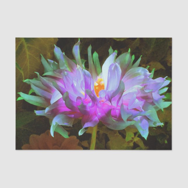 Stunning Magenta and Lime Green Cactus Dahlia Seidenpapier (Vorderseite)