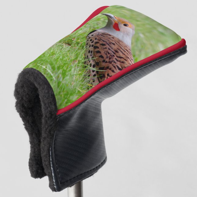 Stunning Northern Flicker Foraging in the Grass Golf Headcover (3/4 Vorderseite)