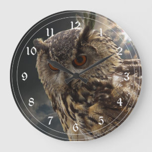 Stunning Owl Photography Series Große Wanduhr