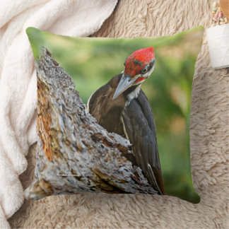 Stunning Portrait of Pileated Woodpecker in Tree Kissen