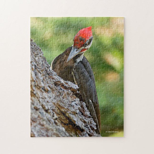 Stunning Portrait of Pileated Woodpecker on Tree Puzzle (Vertikal)