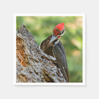 Stunning Portrait of Pileated Woodpecker on Tree Serviette