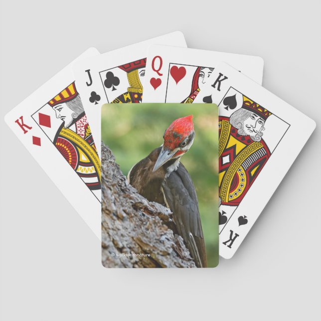 Stunning Portrait of Pileated Woodpecker on Tree Spielkarten (Rückseite)