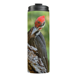 Stunning Portrait of Pileated Woodpecker on Tree Thermosbecher