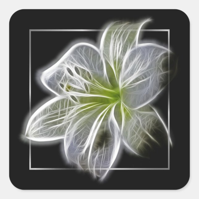 Stunning White Lily Fractal Art Black Quadratischer Aufkleber (Vorderseite)