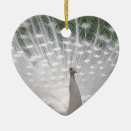 Stunning white Peacock (Peafowl) full plume Keramikornament