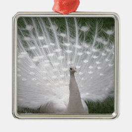 Stunning white Peacock (Peafowl) full plume Silbernes Ornament