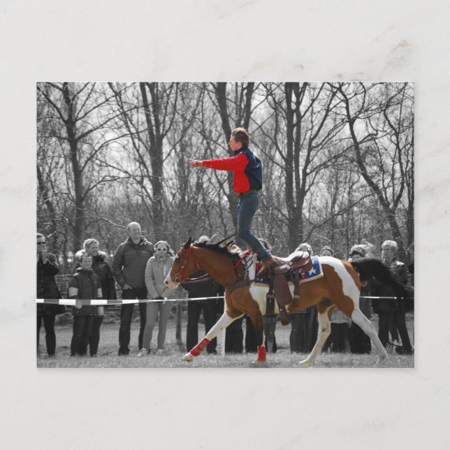Stunt Riding Postkarte (Vorderseite)