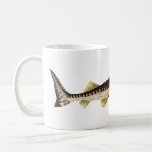 Sturgeon Fish Tasse
