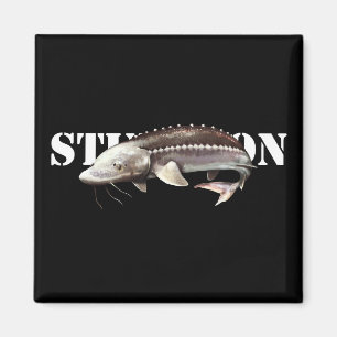 Sturgeon Magnet