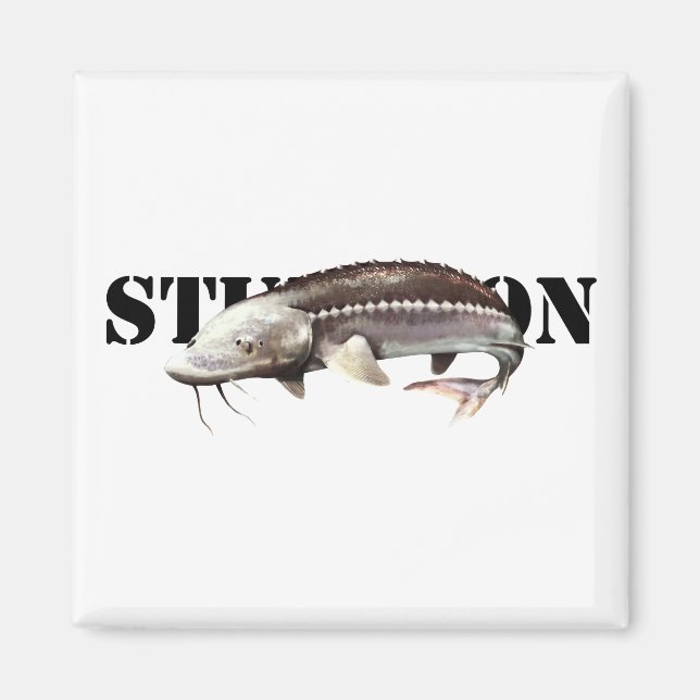 Sturgeon Magnet (Vorne)
