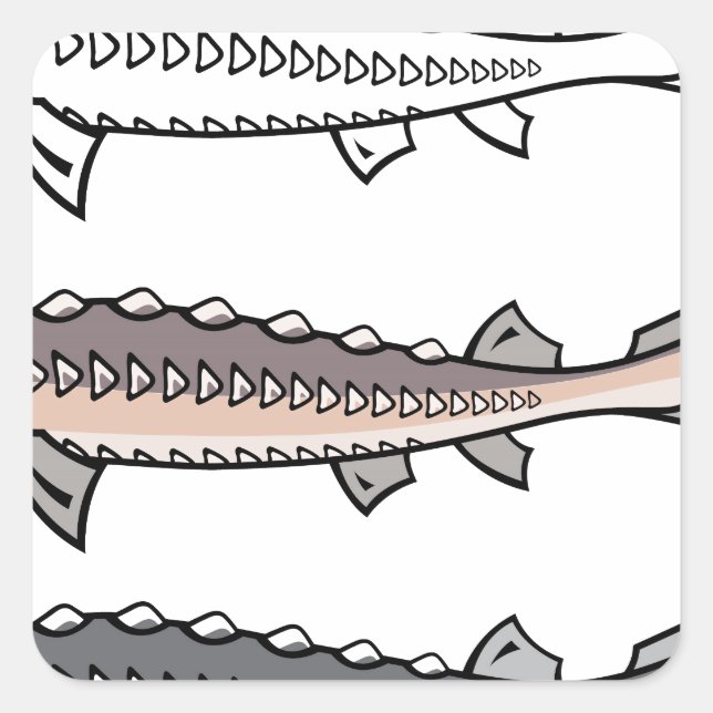 Sturgeon Quadratischer Aufkleber (Vorderseite)