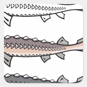 Sturgeon Quadratischer Aufkleber
