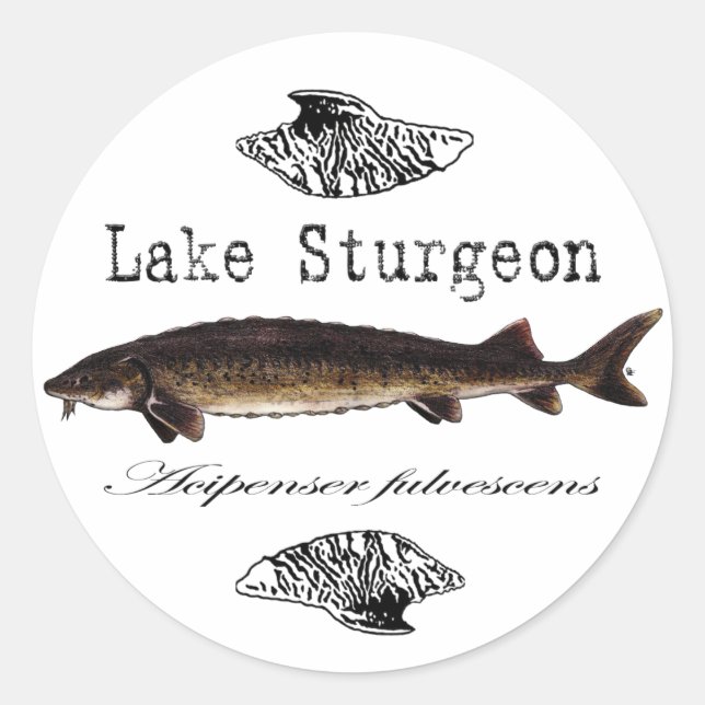 Sturgeon Runder Aufkleber (Vorderseite)