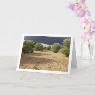 Sturm Cloud über Canyon Orchard Landschaft Karte