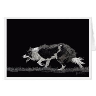 Sturm der Grenzkollie