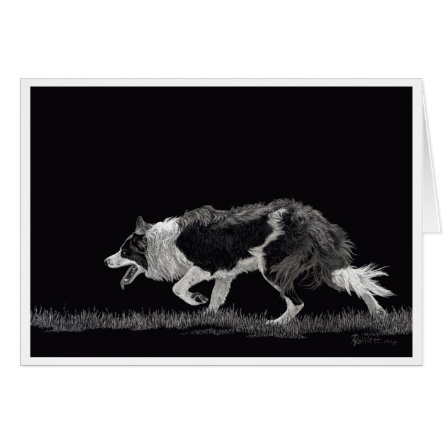 Sturm der Grenzkollie (Vorderseite (Horizontal))