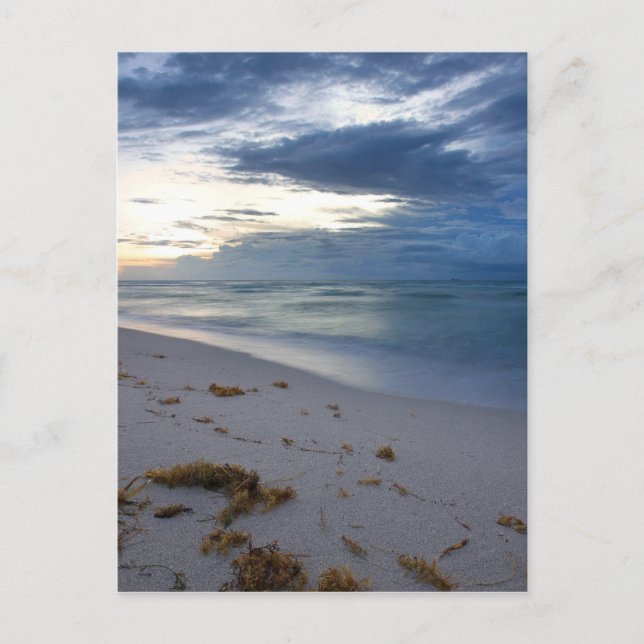 Sturm nähert Miami Beach Postkarte (Vorderseite)