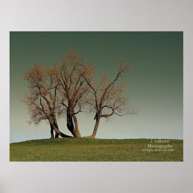 Sturm Poster (Vorne)