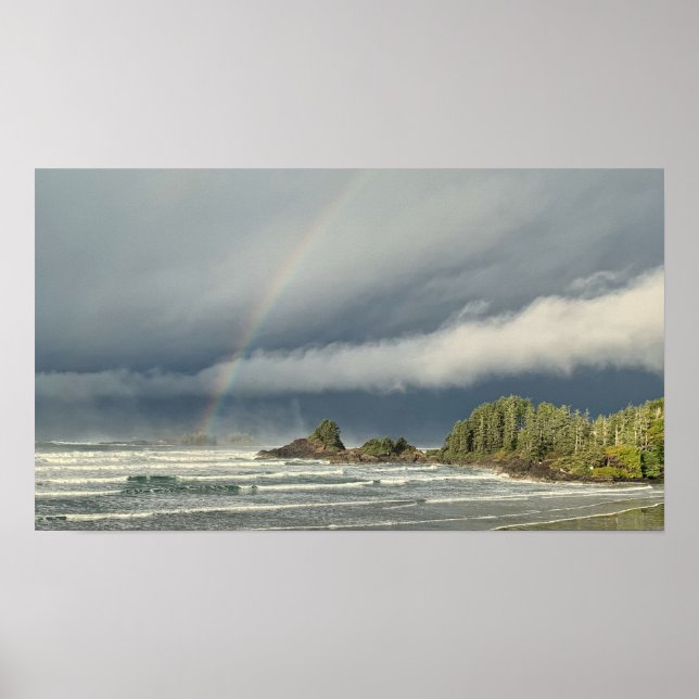 Sturm Watching in Tofino British Columbia Poster (Vorne)