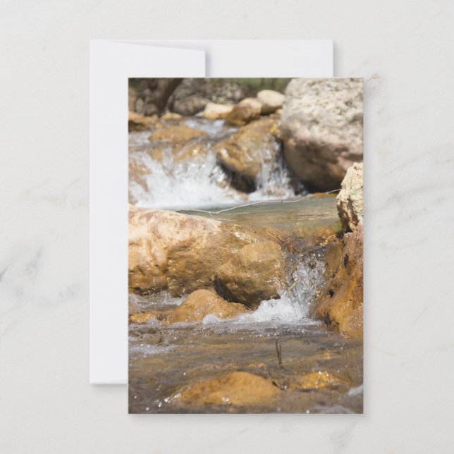 Sturmbach im Frühling (Vorderseite)