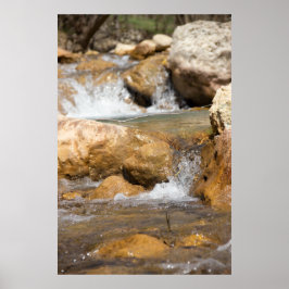 Sturmbach im Frühling Poster