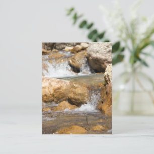 Sturmbach im Frühling Postkarte