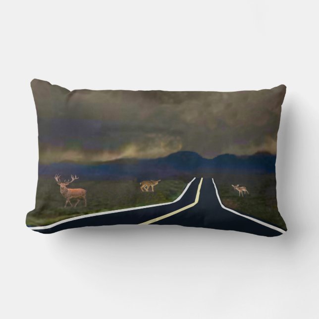 Sturmbrauen Lendenkissen (Vorderseite)