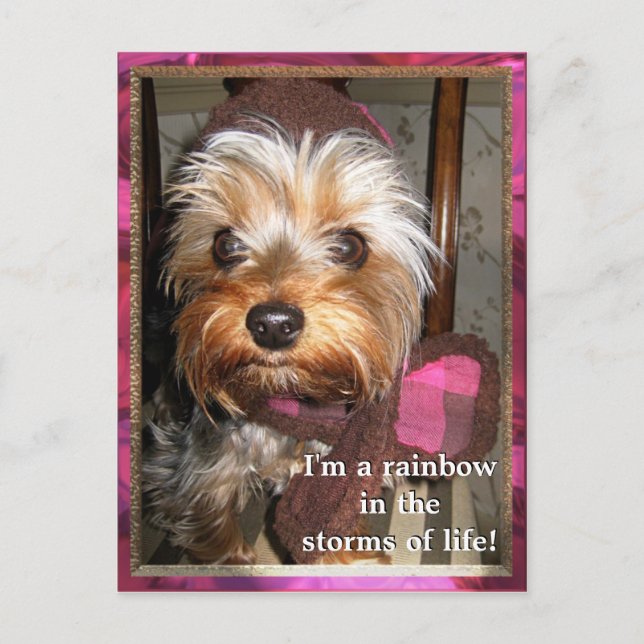 Stürme der Lebenspostkarte Postkarte (Vorderseite)