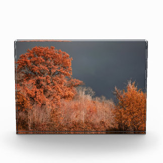 Stürmischer Herbst Fotoblock