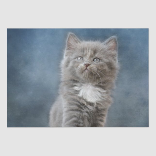 Sturmpapier Seidenpapier (Vorderseite)