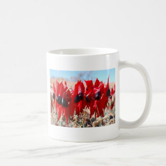 Sturts Wüsten-Erbse Tasse