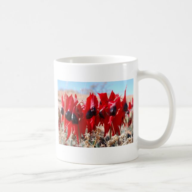 Sturts Wüsten-Erbse Tasse (Rechts)