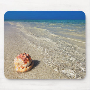 Sturzhelm-Muschel in tropischem Lagoon  Cassis Mousepad