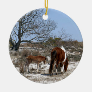 Stute und Fohlen im Assateague National Park Keramik Ornament